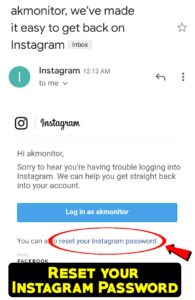 Instagram Password Reset